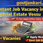 Accountant Job Vacancy in Industrial Estate Vessu – Apply Online for Freshers 